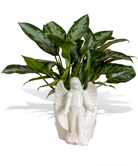 Angel Planter