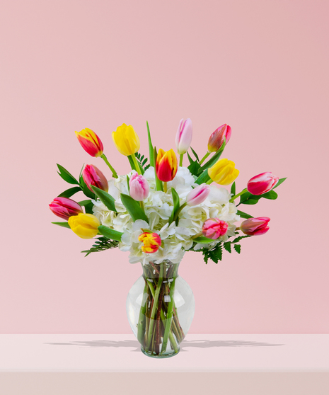 A vibrant bouquet of colorful tulips in yellow, orange, pink, and red, paired with white hydrangeas and greenery in a clear glass vase.