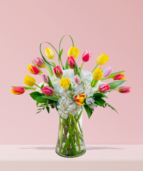 A vibrant bouquet of colorful tulips in yellow, orange, pink, and red, paired with white hydrangeas and greenery in a clear glass vase.