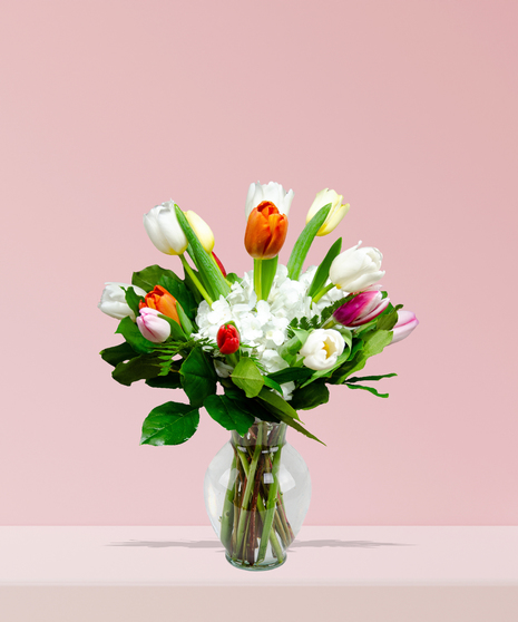 A vibrant bouquet of colorful tulips in yellow, orange, pink, and red, paired with white hydrangeas and greenery in a clear glass vase.