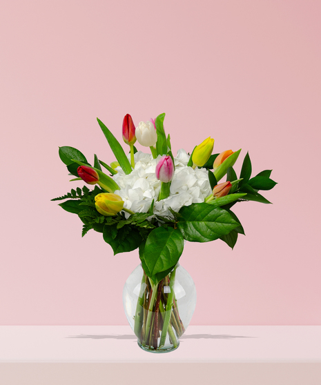 A vibrant bouquet of colorful tulips in yellow, orange, pink, and red, paired with white hydrangeas and greenery in a clear glass vase.