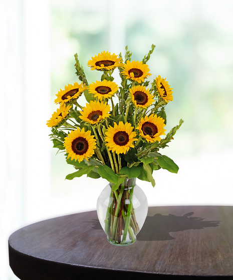 Gathering vase of premium sunflowers delivered locally in Baton Rouge - Billy Heroman's