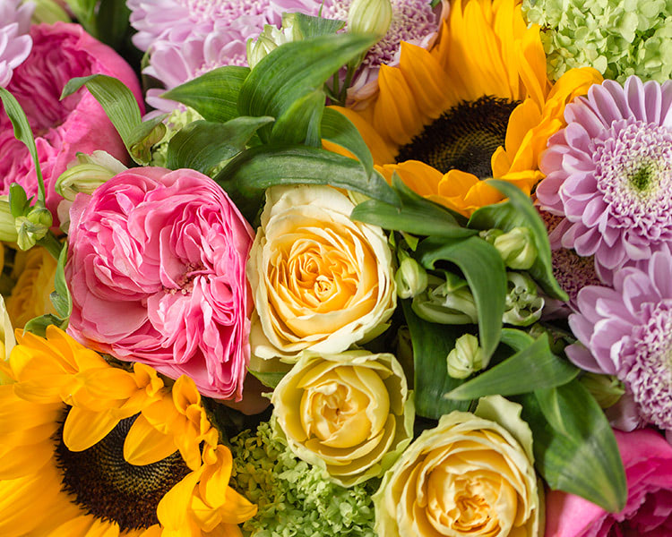 Sunflowers and carnatians of various colors